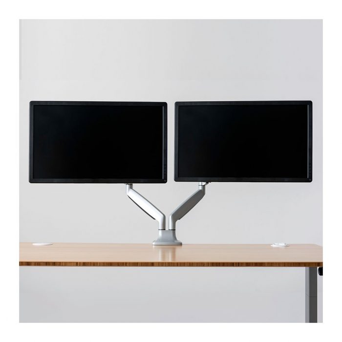 dual monitor