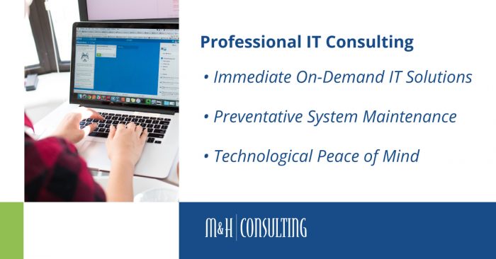 Professional IT Consulting Advantages Graphic